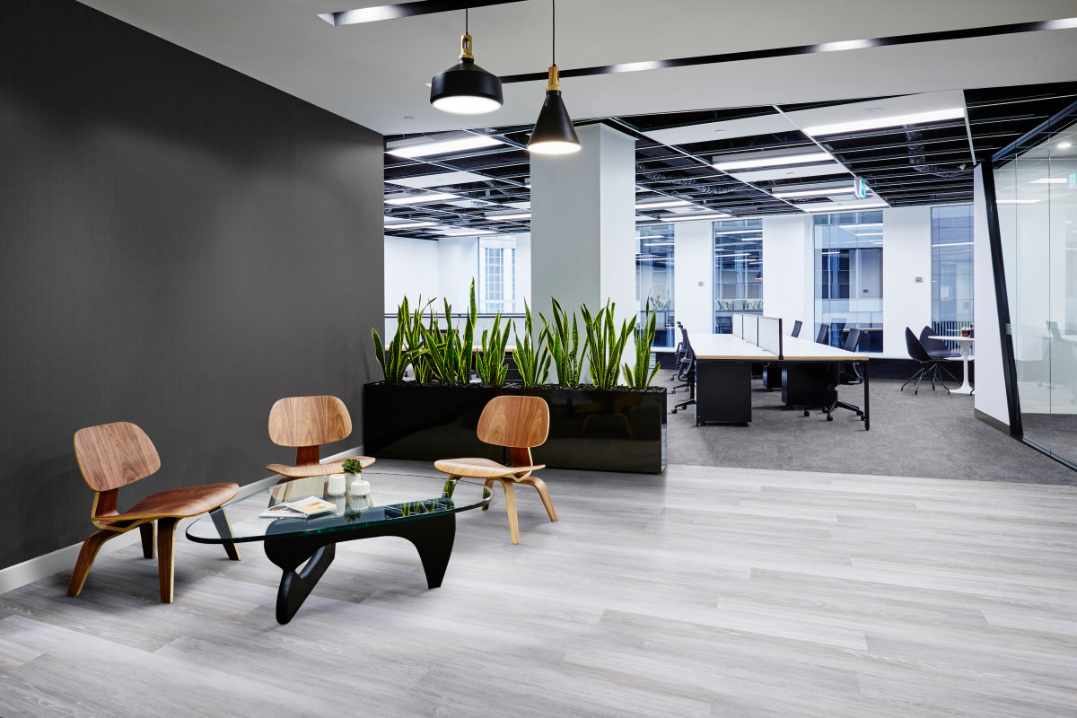 SPC / Linha Tech / Corporativo / Carvalho Amalfi / 24089111